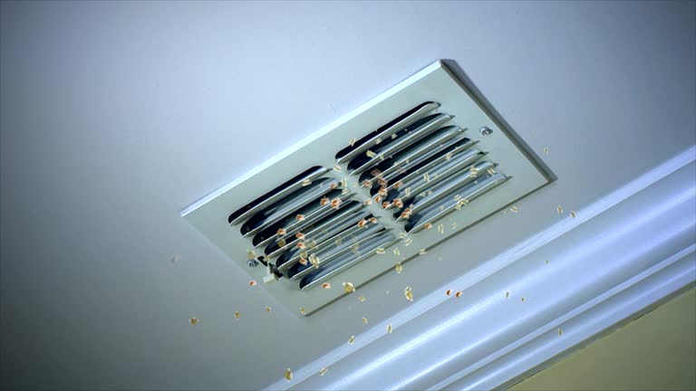 Best Affordable Air Duct Cleaning  in South Laurel, MD